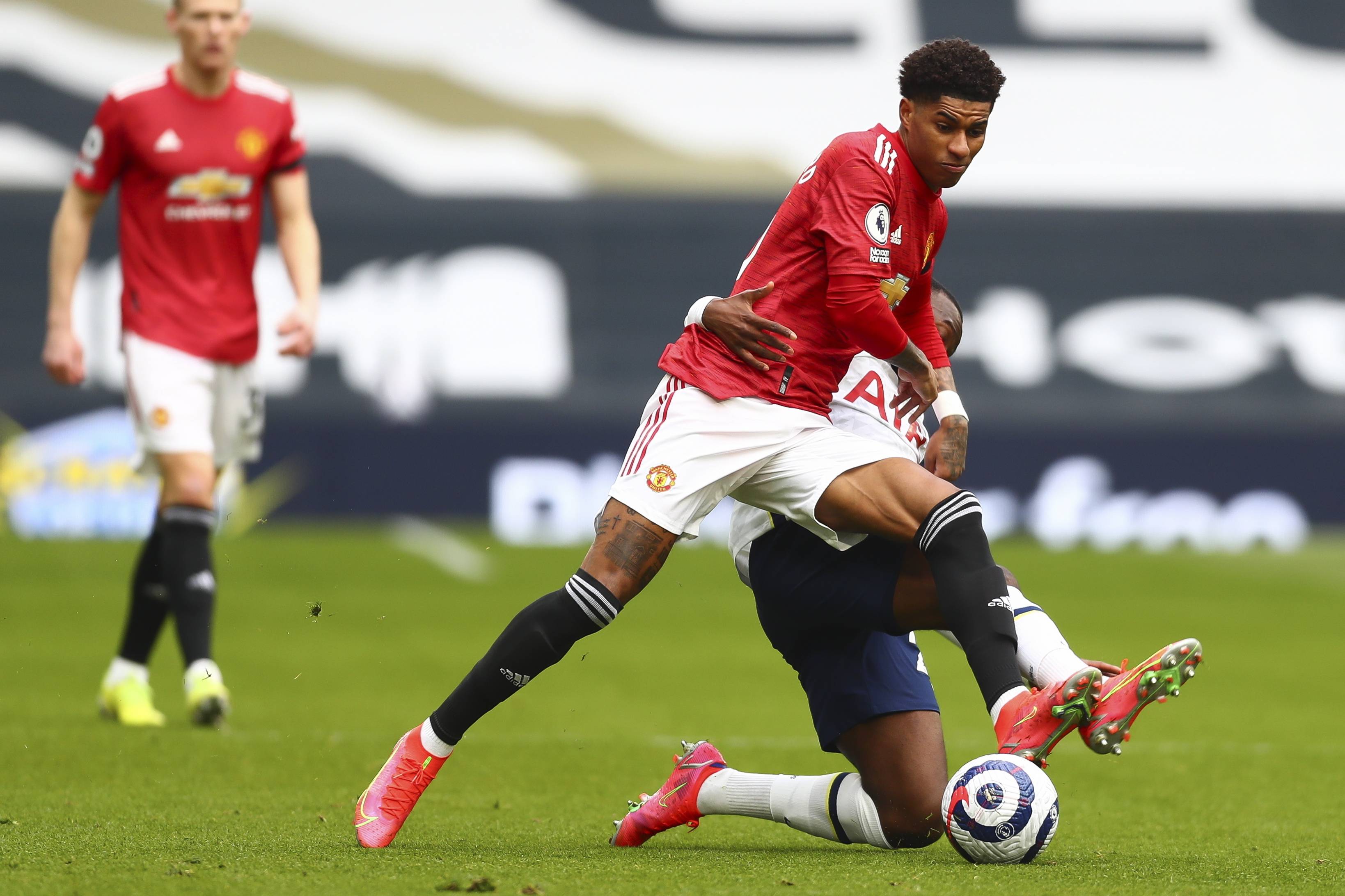 尚嗅觉的绝 尚嗅觉的绝